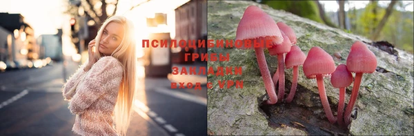 тгк Вяземский