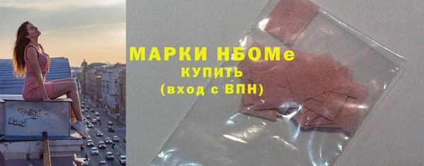 стафф Вязьма
