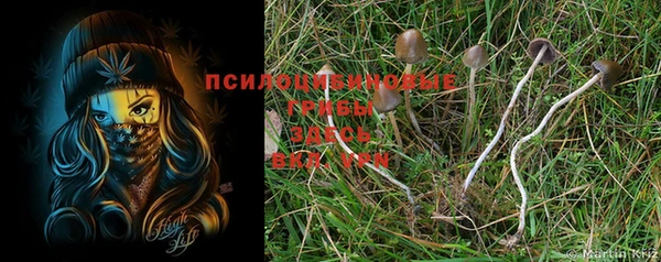 шишки Вязники
