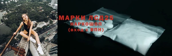 стафф Вязьма