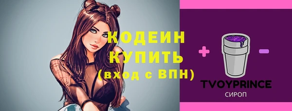 стафф Вязьма
