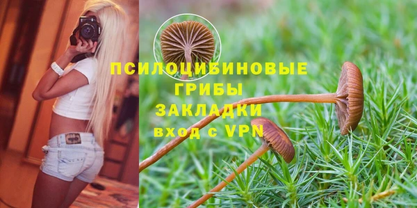 стафф Вязьма