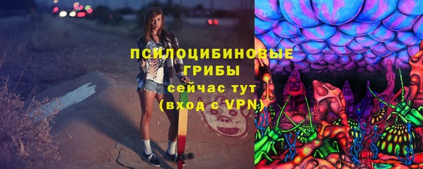 шишки Вязники