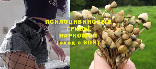 PSILOCYBIN Волоколамск