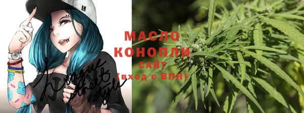 шишки Вязники