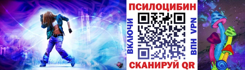 Псилоцибиновые грибы Cubensis  Зерноград 