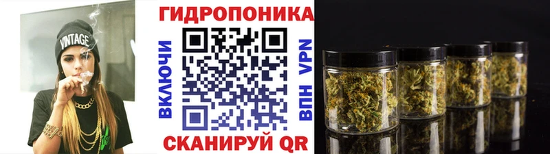 Бошки Шишки план  Зерноград 